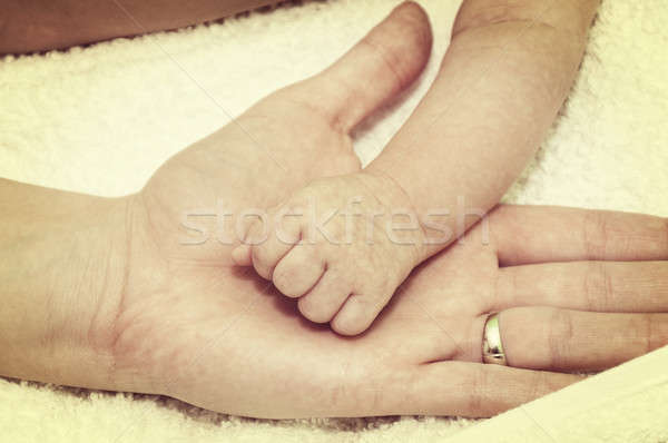 Weinig baby vuist moeder hand Stockfoto © badmanproduction