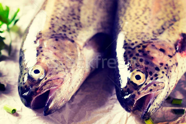 Fish heads Stock photo © badmanproduction