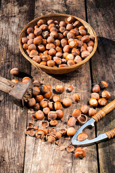 Homegrown hazelnuts Stock photo © badmanproduction