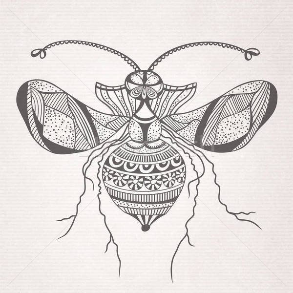 Imagine de stoc: Vector · decorativ · insectă · fluture · abstract · desen · animat