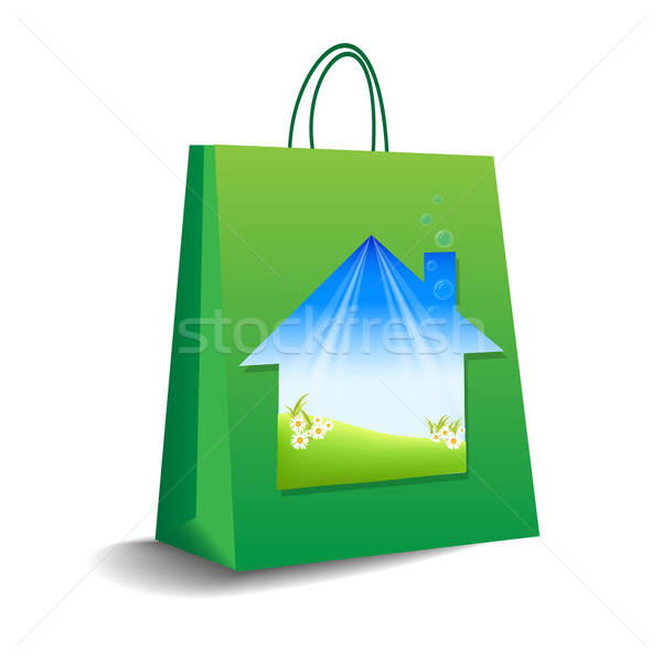 Bolsa de la compra vector formato negocios signo cuadro Foto stock © balasoiu