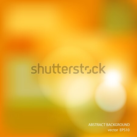 Soft colored abstract background Stock photo © balasoiu
