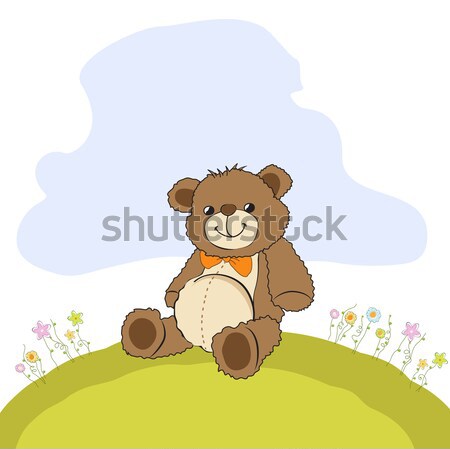 welcome baby card with girl teddy bear and her duck Stock photo © balasoiu