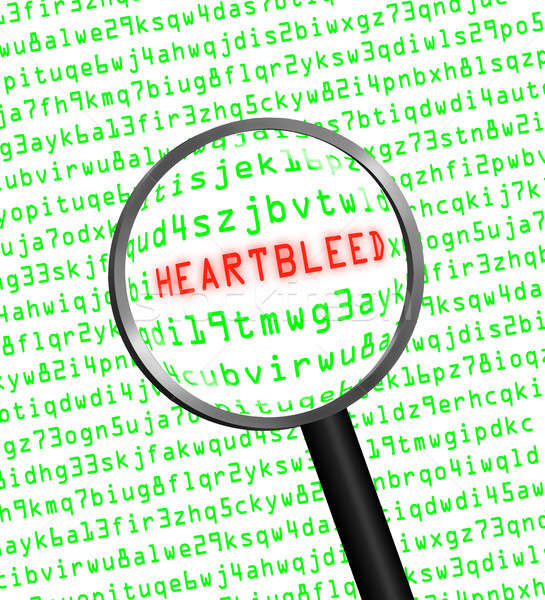 Heartbleed revealed in computer code through a magnifying glass  Stock photo © Balefire9
