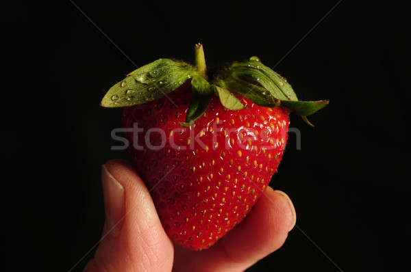Single strawberry held between two fingers Stock photo © Balefire9
