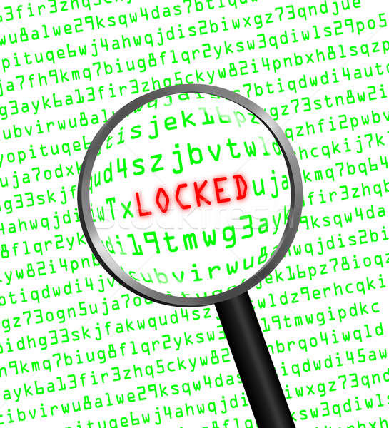 'LOCKED' revealed in computer code through a magnifying glass  Stock photo © Balefire9