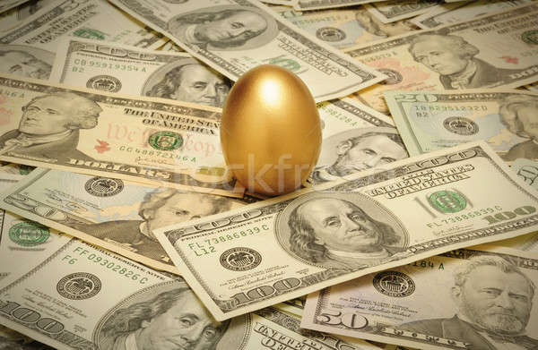 Gold nest egg on a layer of cash of various American banknote de Stock photo © Balefire9