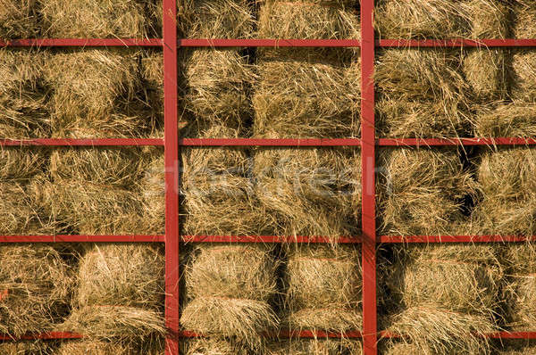 Hay bales piled within a cart Stock photo © Balefire9