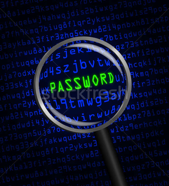 PASSWORD revealed in computer code through a magnifying glass Stock photo © Balefire9
