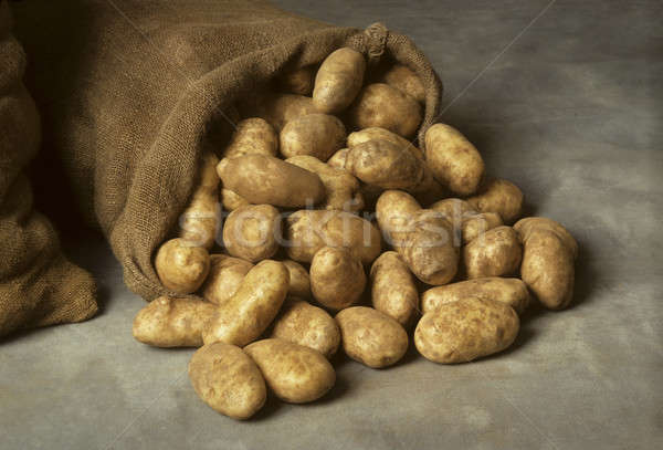 Spilled burlap sack of potatoes Stock photo © Balefire9