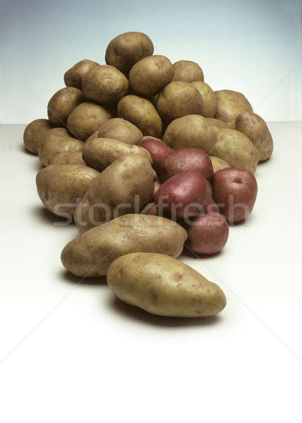 Pile of Potatoes Stock photo © Balefire9