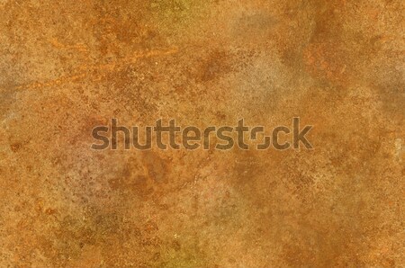 Grungy rusty surface texture seamlessly tileable Stock photo © Balefire9