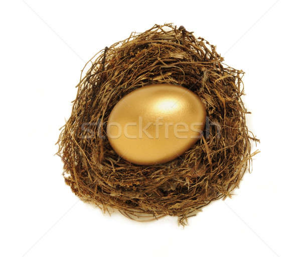 Golden Nest Ei Ruhestand Einsparungen goldene Ei Stock foto © Balefire9