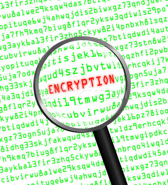 'ENCRYPTION' revealed in computer code through a magnifying glas Stock photo © Balefire9