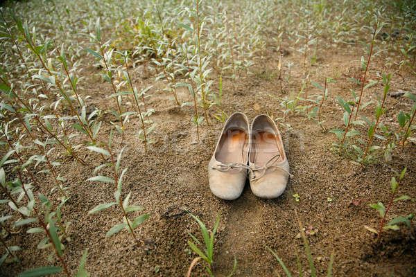 shoes Stock photo © Bananna