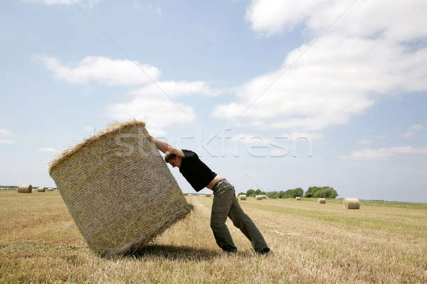 Stock photo: man pushing bale of hay