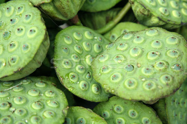 Verde verdura texture frutta wallpaper cuoco Foto d'archivio © Bananna