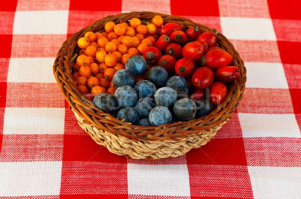 Genezen alternatieve geneeskunde zee heup vruchten tabel Stockfoto © barabasa