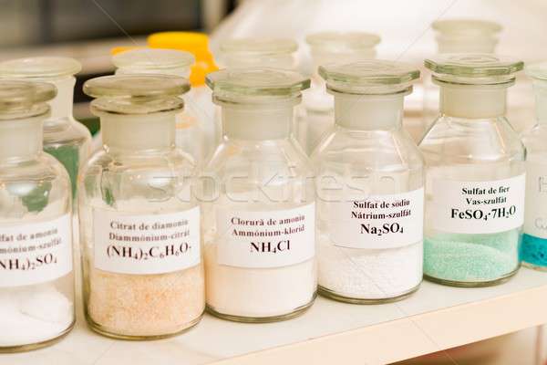Chemical research with salts is fun Stock photo © barabasa