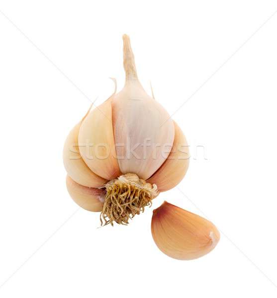 Légumes ail ampoule gousse isolé blanche [[stock_photo]] © barabasa