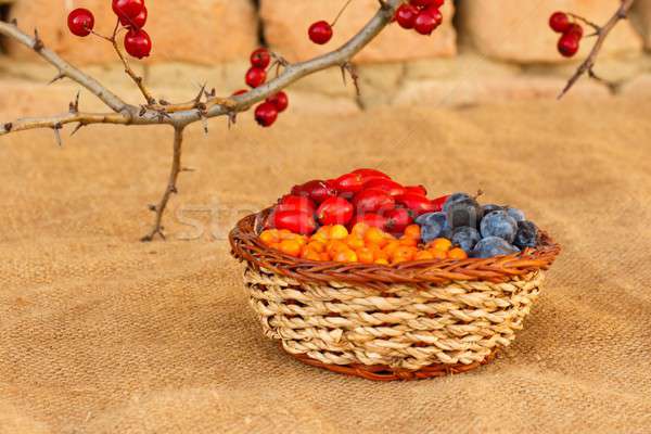 Berry fruits Stock photo © barabasa