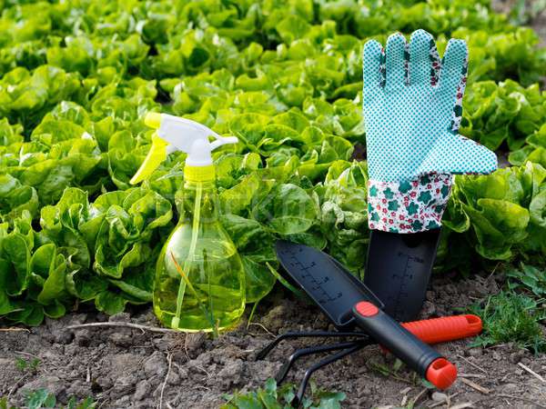 Foto stock: Tentador · jardinagem · trabalhar · colorido · ferramentas