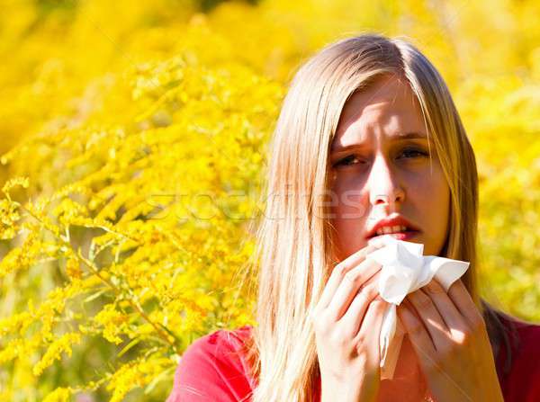 Alergia polen mujer flor amarilla rubio Foto stock © barabasa