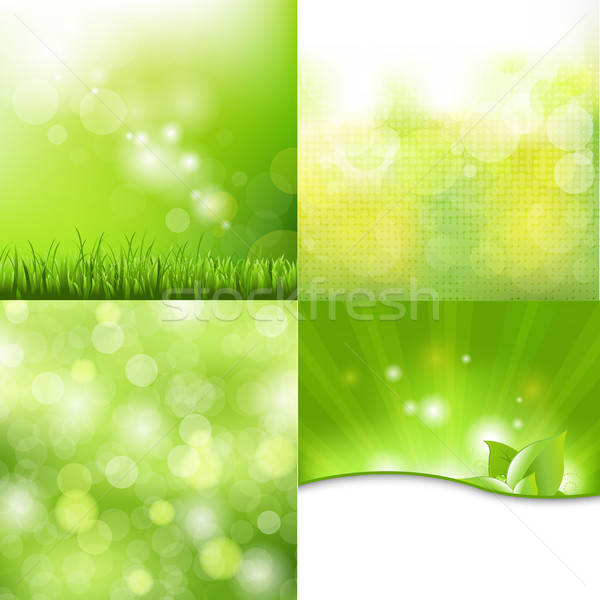 природы набор цветок трава дизайна лист Сток-фото © barbaliss