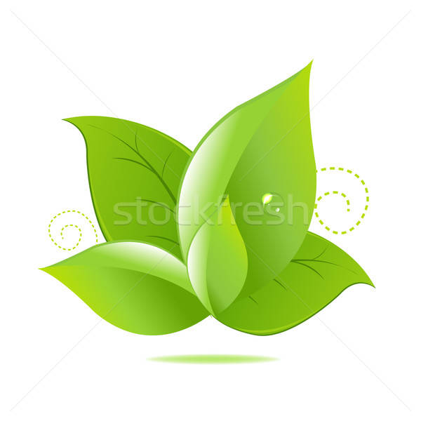 ストックフォト: 緑の葉 · アイコン · 孤立した · 白 · 勾配