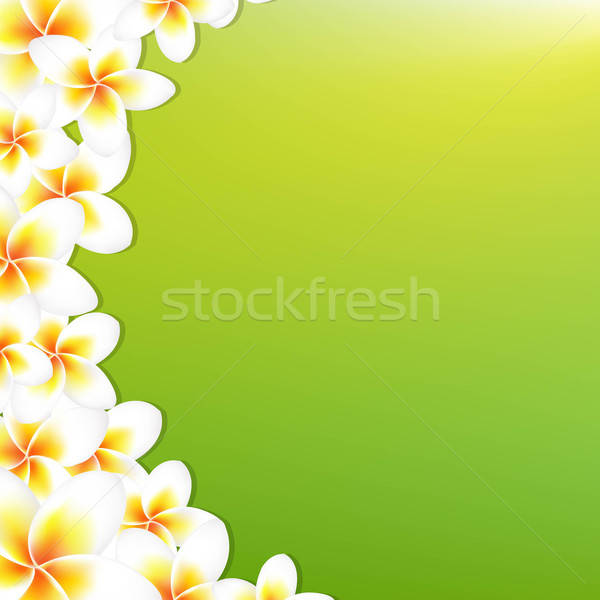 White Frangipani Border With Green Background Stock photo © barbaliss