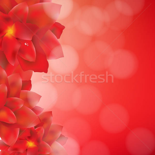 Red Flowers Border With Bokeh Stock photo © barbaliss