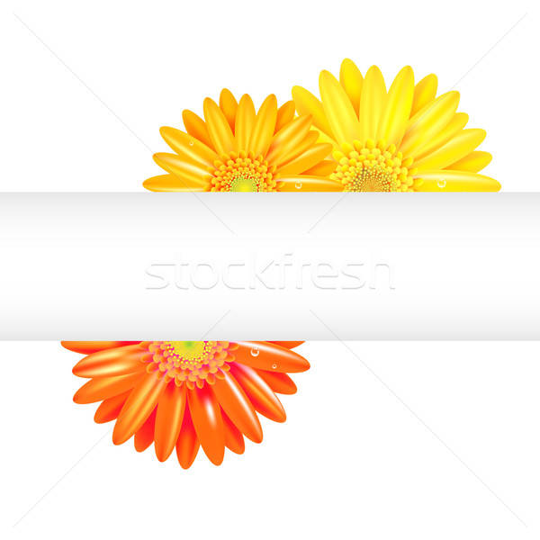 Amarillo naranja banner aislado blanco flor Foto stock © barbaliss