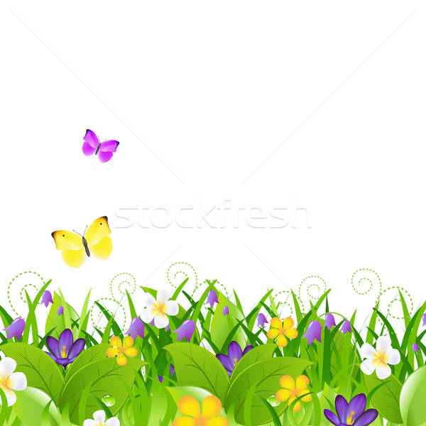 Flowers With Grass With Butterfly Stock photo © barbaliss