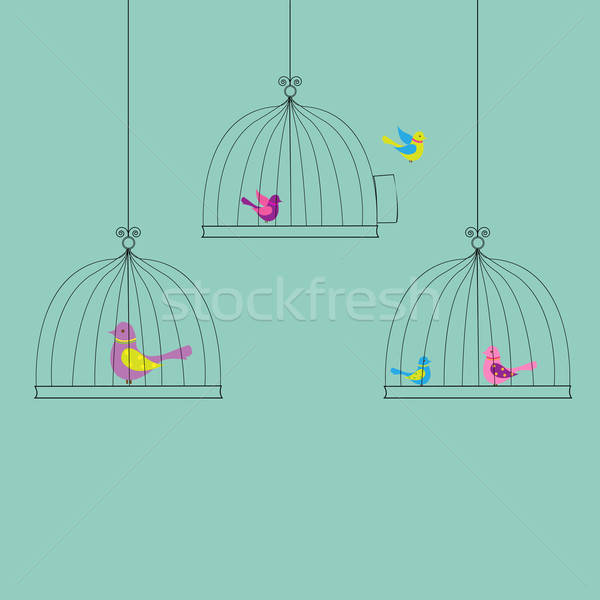 Color Birds Stock photo © barbaliss
