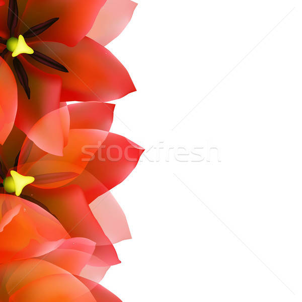Foto stock: Rojo · tulipán · frontera · gotas · de · agua · gradiente