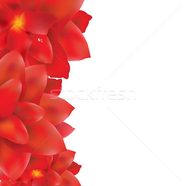 Red Flowers Border Stock photo © barbaliss