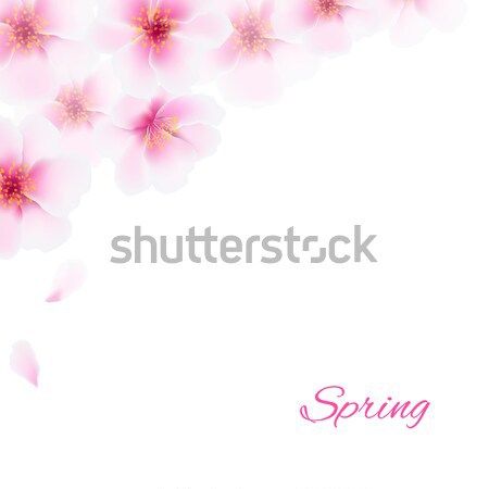 Stockfoto: Roze · kers · bloem · grens · helling