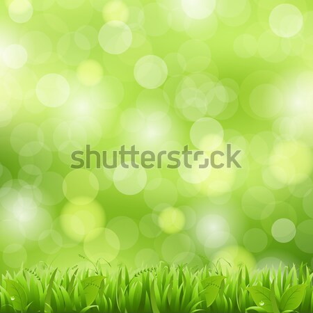 Nature Background With Grass Stock photo © barbaliss