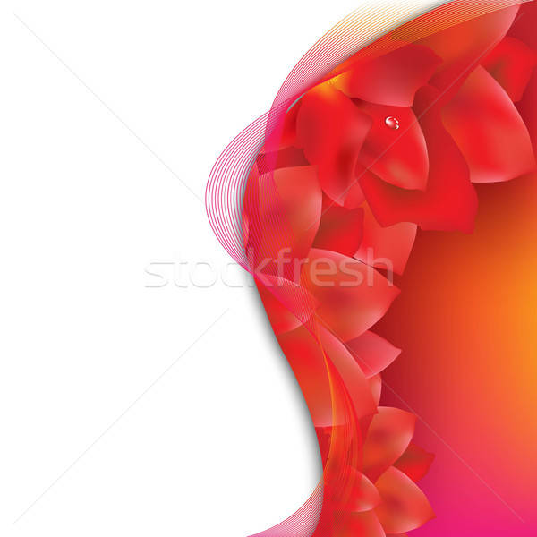 Flowers Pink Card Stock photo © barbaliss