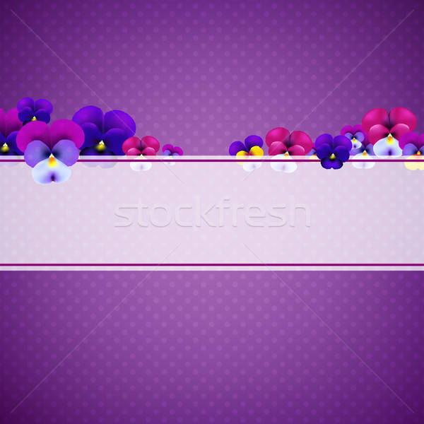 Stockfoto: Violet · bloemen · helling · bloem · voorjaar