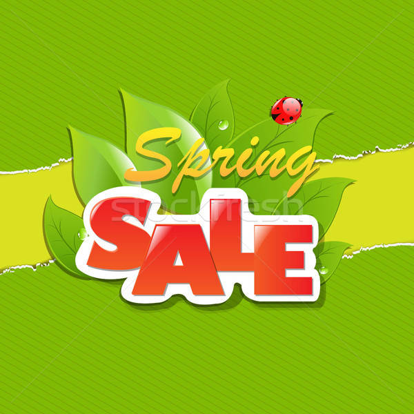 Groene gescheurd papier voorjaar verkoop banner Stockfoto © barbaliss