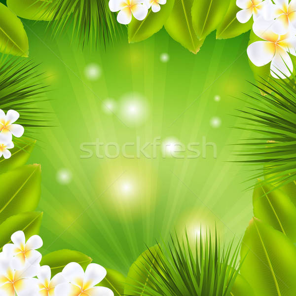 Frame With Frangipani And Sunburst Stock photo © barbaliss