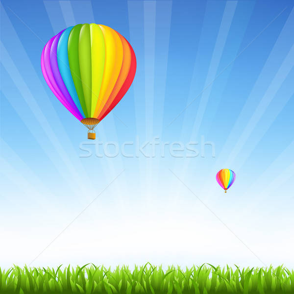 Grass And Two Hot Air Balloons Stock photo © barbaliss