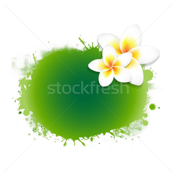 Frangipani Flower With Green Blob Stock photo © barbaliss