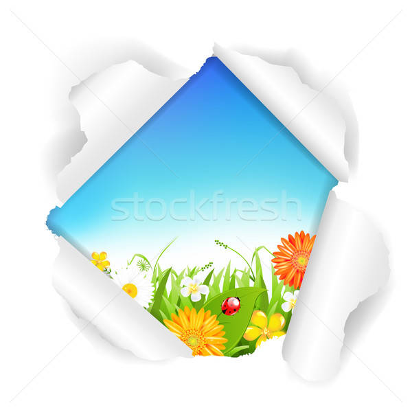 Yırtık kağıt çiçekler çim renk yumurta eğim Stok fotoğraf © barbaliss