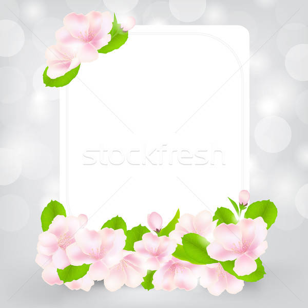 Gift Card With Apple Flower Stock photo © barbaliss
