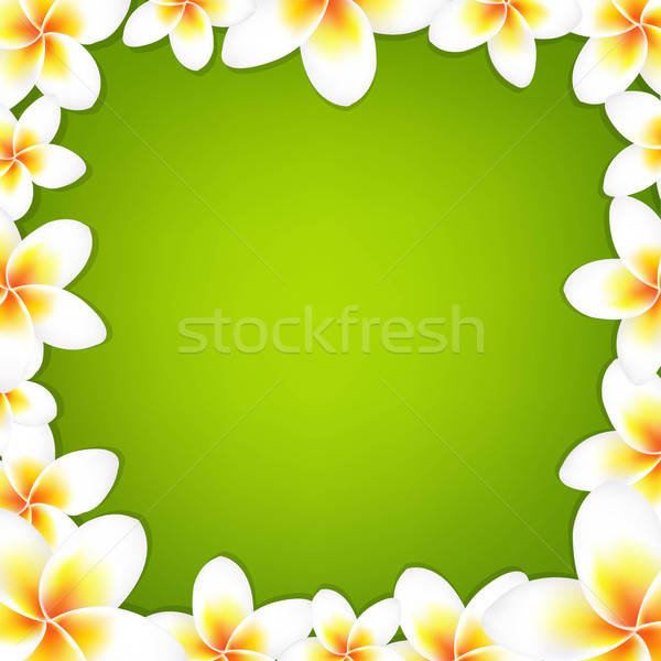 White Frangipani Frame With Green Background Stock photo © barbaliss
