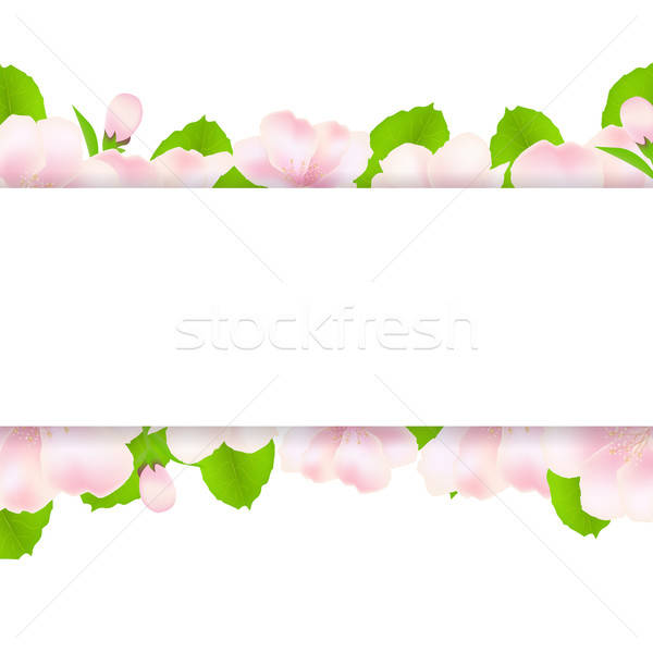 Melo fiori carta isolato bianco alimentare Foto d'archivio © barbaliss