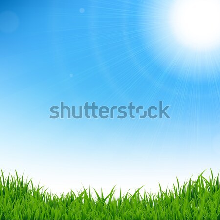 Hierba cielo primavera paisaje verano verde Foto stock © barbaliss