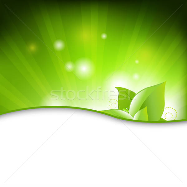 Stock photo: Green Eco Background With Leafs